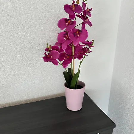 Traumhafte Apartament